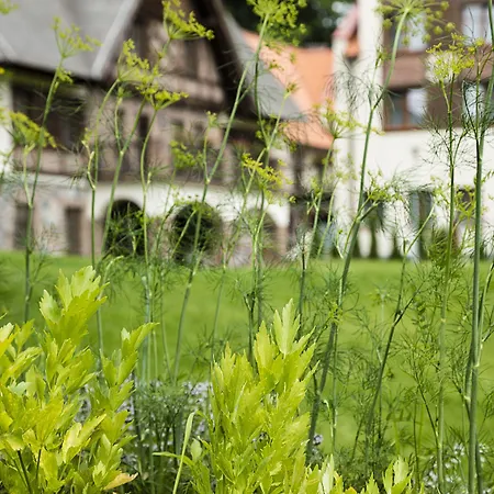Aubrecht Country 4* Przechlewo
