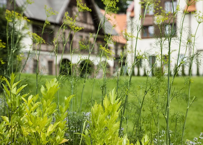 Aubrecht Country 4* Przechlewo